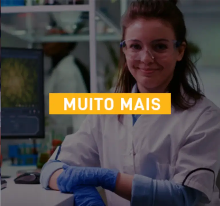 setor-mais